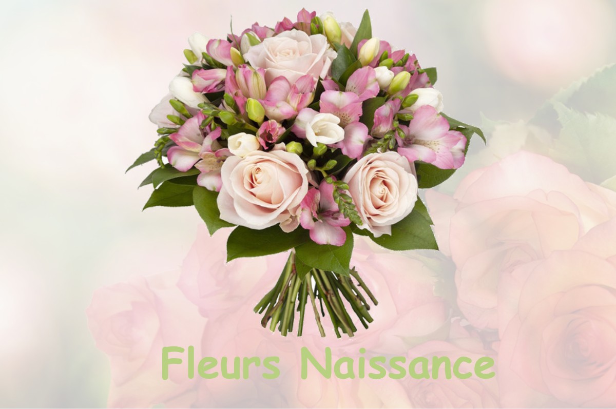 fleurs naissance BEUIL