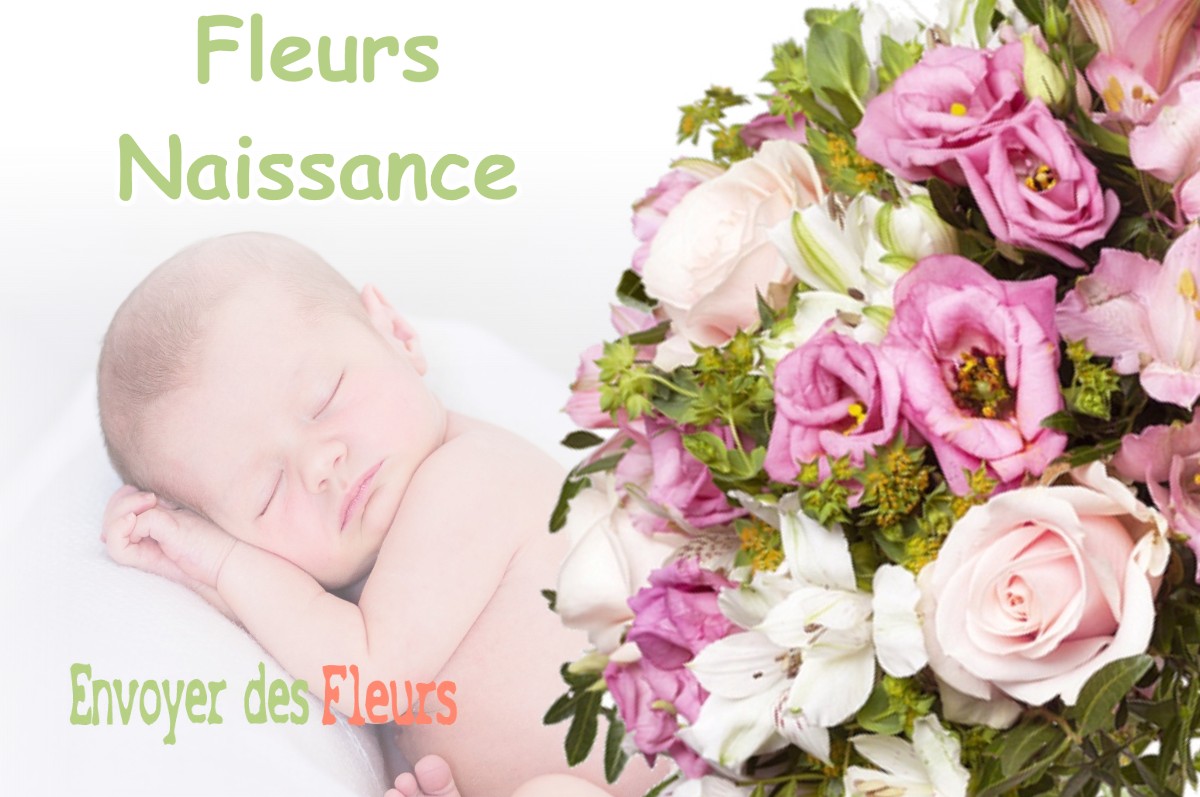 lIVRAISON FLEURS NAISSANCE à BEUIL